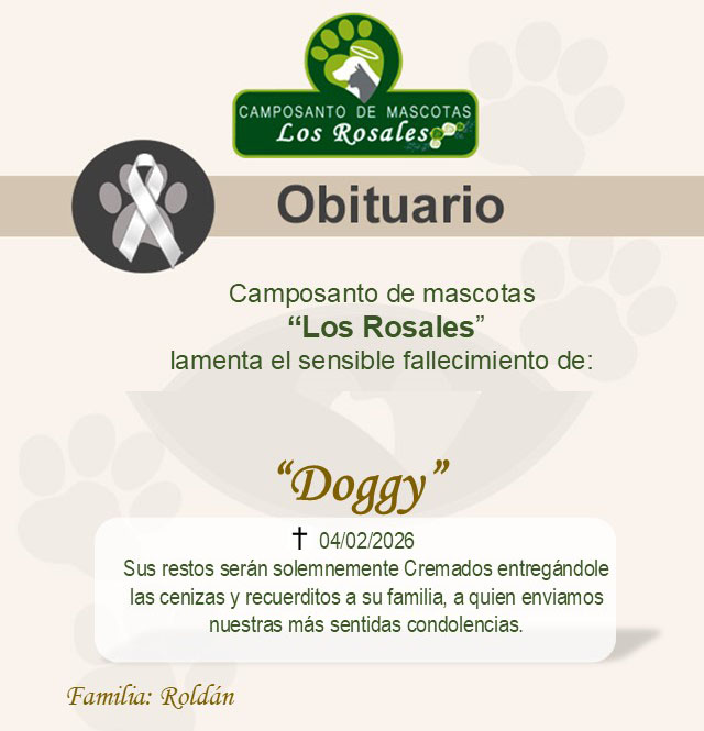 anonimo1 Doggy