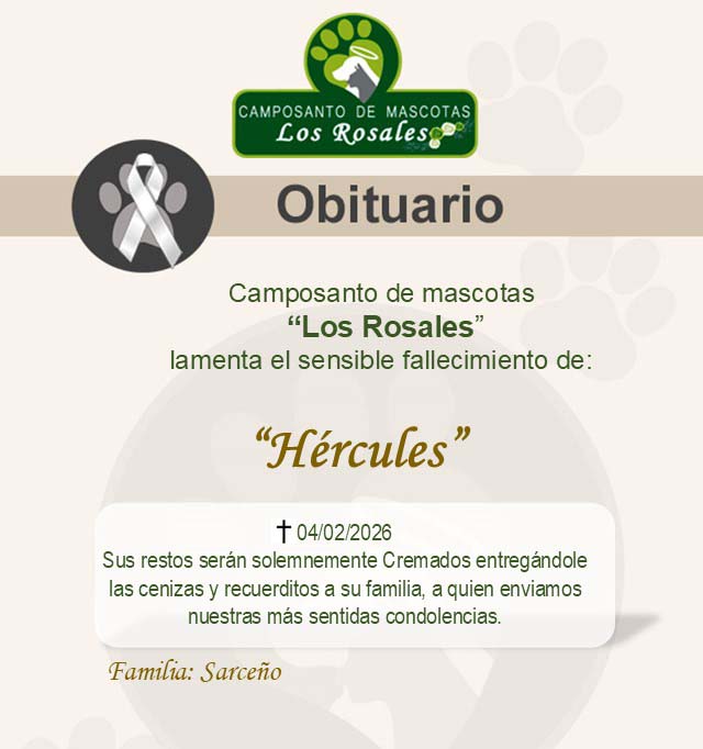 Hercules