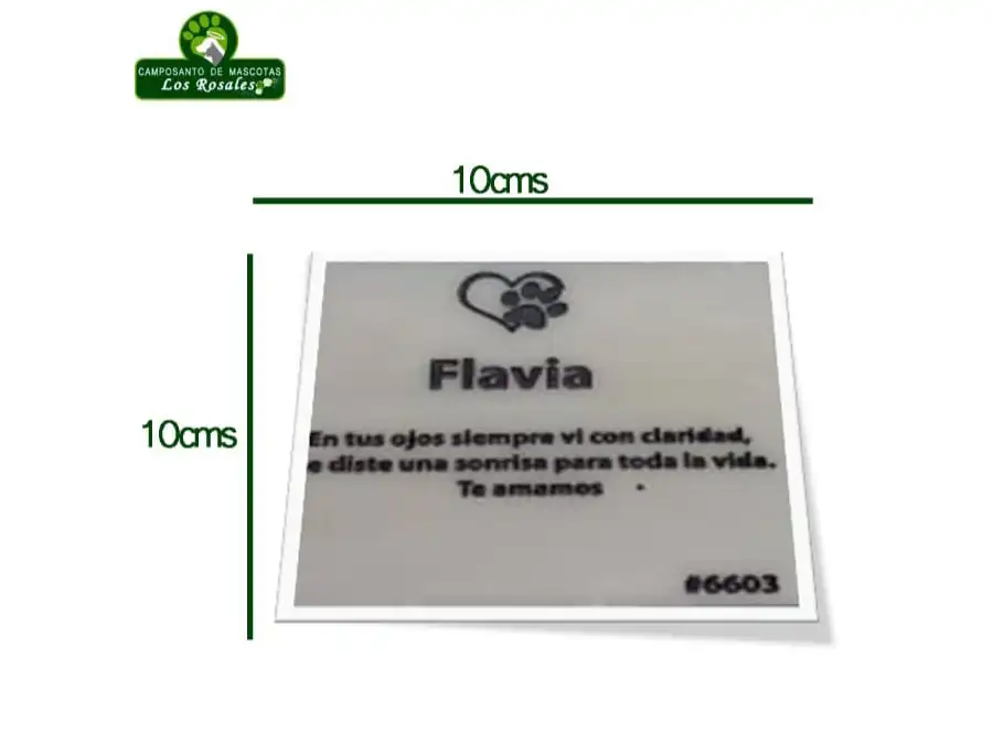 Lápida 1 Lápida